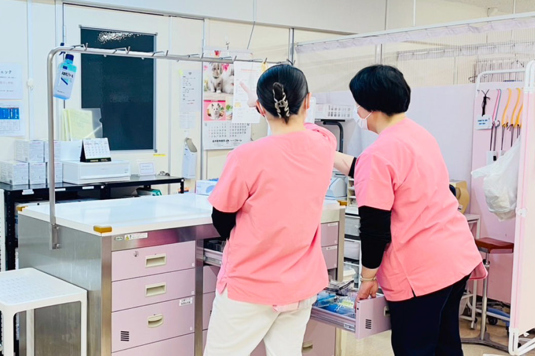 外来の写真