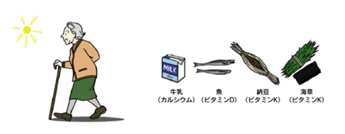 骨粗鬆症の予防のイメージ